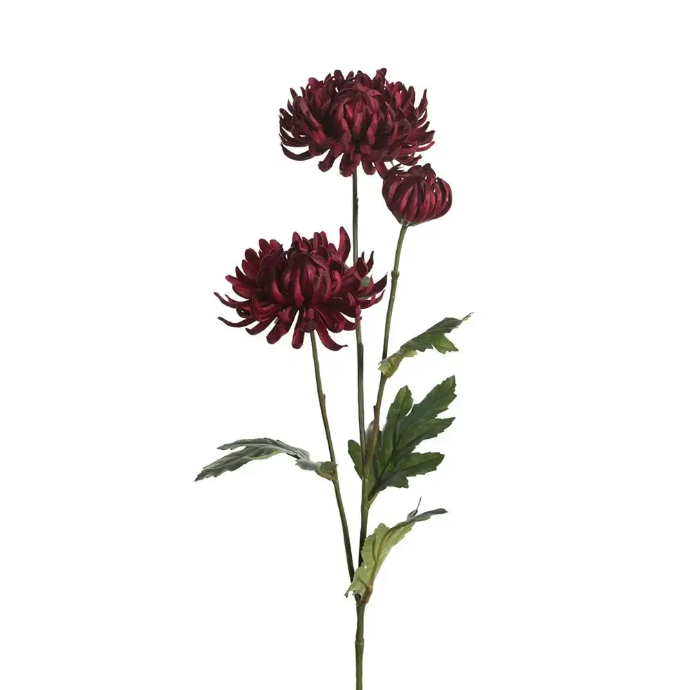 Mr Plant Mr Plant, Krysantemum snittblomst 60 cm rød