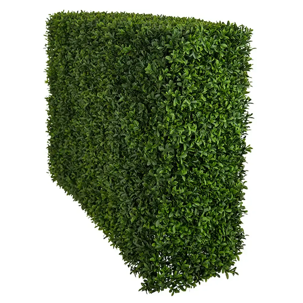 Mr Plant Mr Plant, Buxbom Busk 75 cm