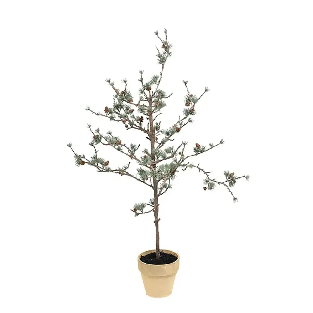 Mr Plant Mr Plant, Lerketre 100 cm