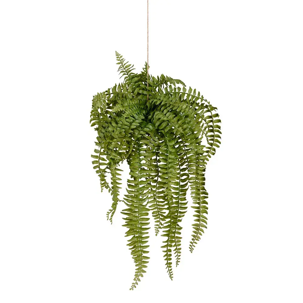 Mr Plant Mr Plant, Bregne Hengeplante 53 cm