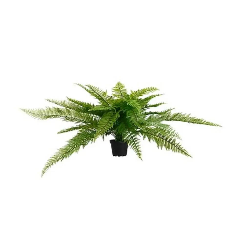 Mr Plant Mr Plant, Bregne Grønn 35 cm
