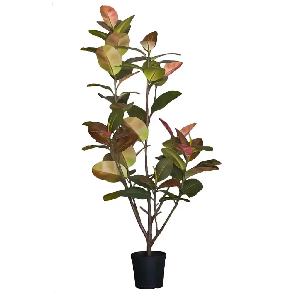 Mr Plant Mr Plant, Figen Elastica 180 cm