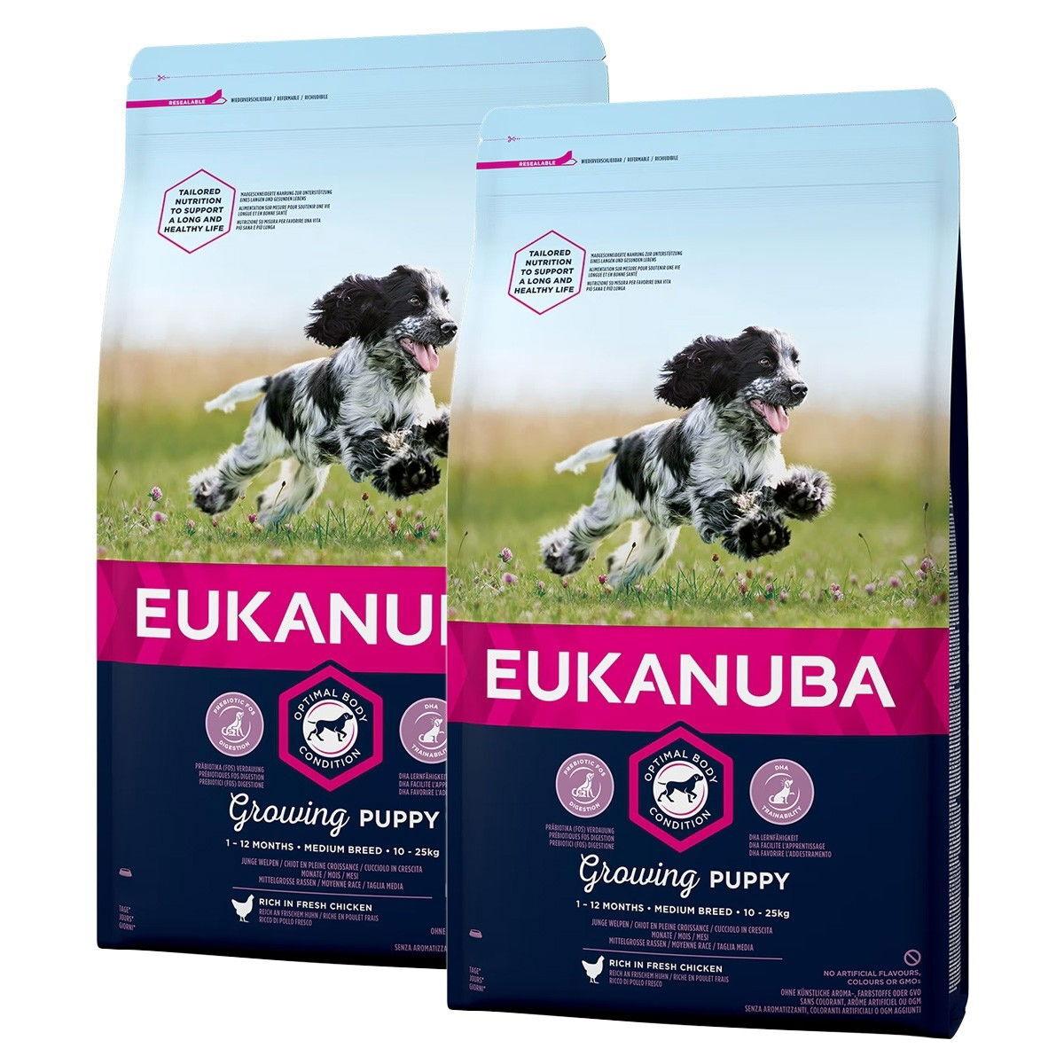 Eukanuba Eukanuba Dog Puppy Medium 2 x 15kg