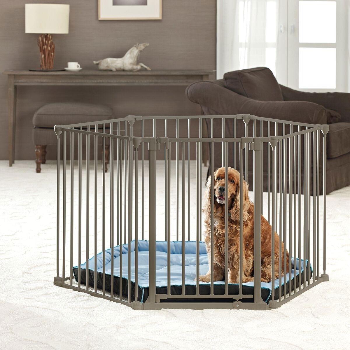 Savic Savic De Luxe Valpehage/Hundegrind 6 Paneler Lysebrun